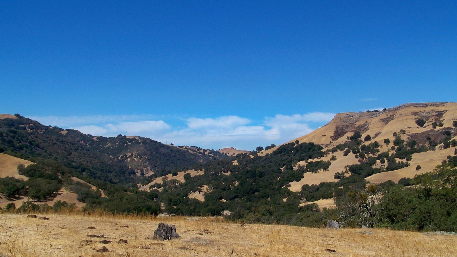 The founding landscape of Greenbelt Land Trust