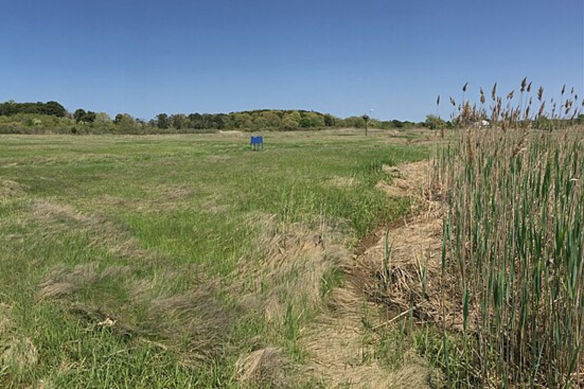 Public boardwalk access engineered around sensitive marsh habitat