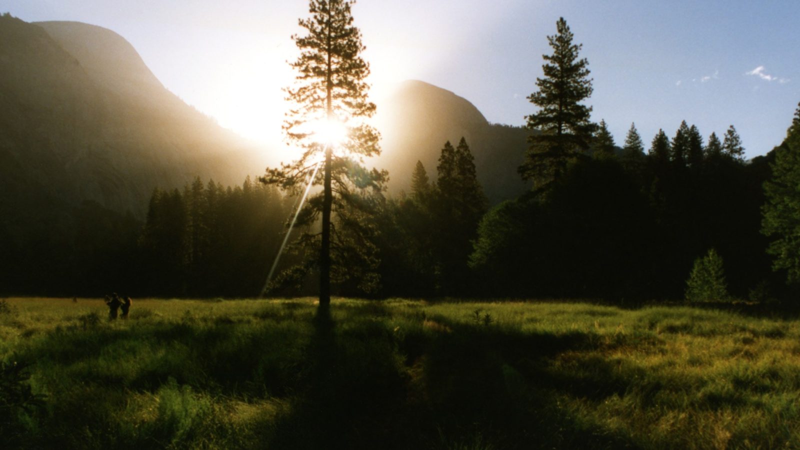 A protected meadow at golden hour representing the impact of a gift