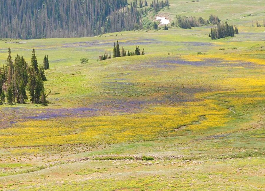 Granite Creek Meadows, the last unprotected gap in the corridor