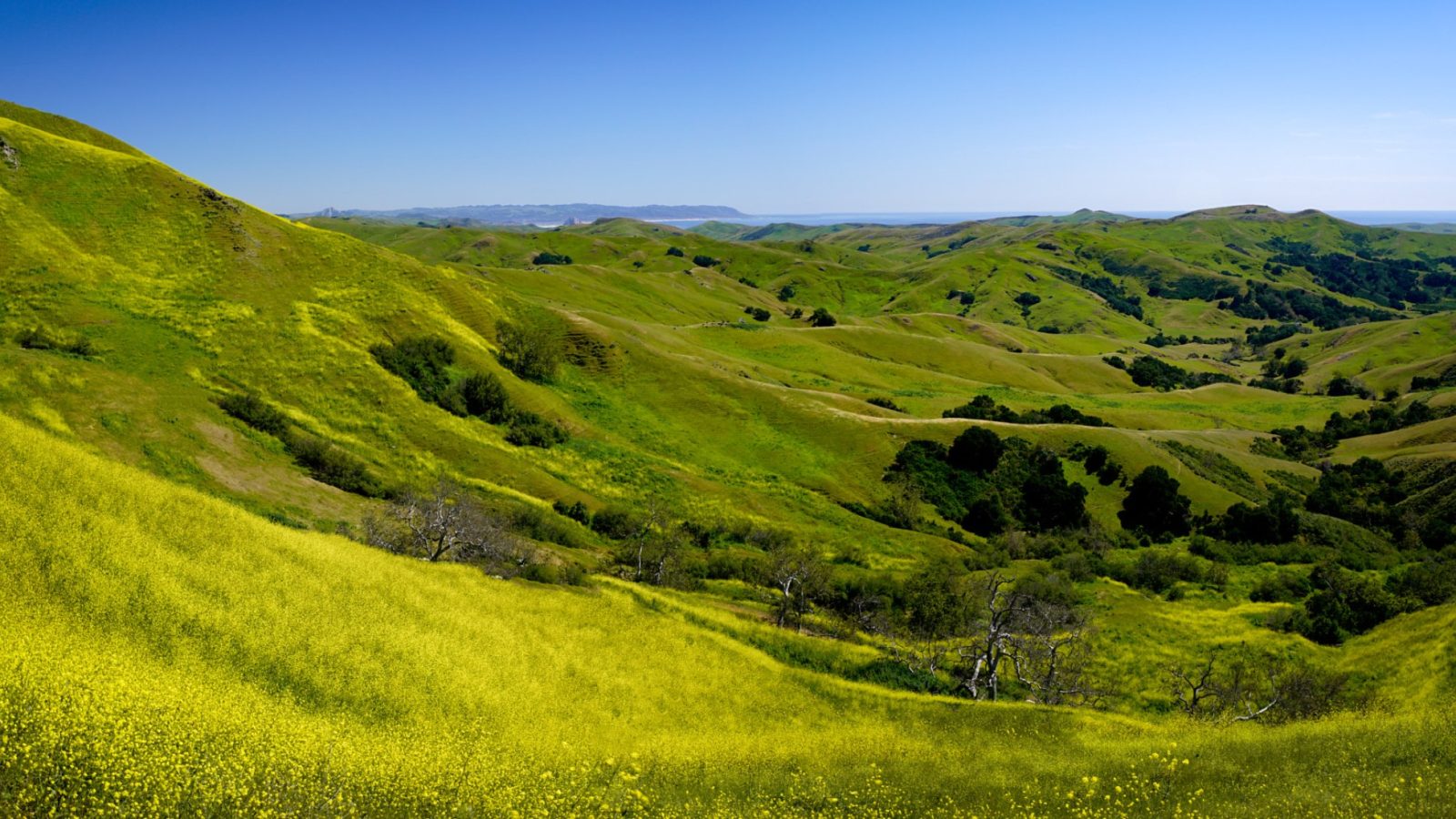 Wide ridge and valley view representing the Our Land preserve network