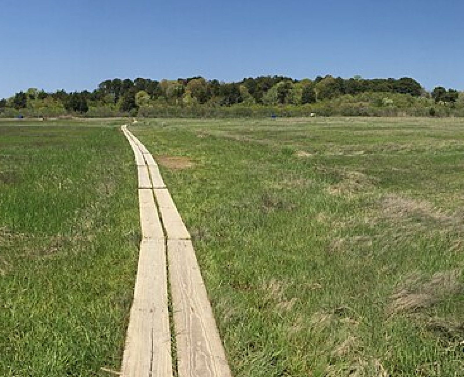 The tidal salt marsh and public boardwalk at Salt Marsh Point