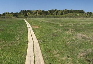 The tidal salt marsh and public boardwalk at Salt Marsh Point