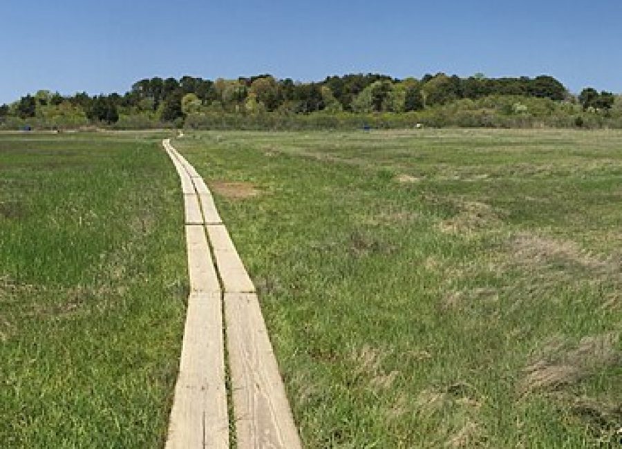 The tidal salt marsh and public boardwalk at Salt Marsh Point