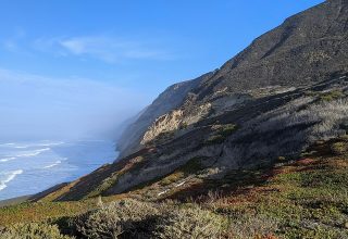 Coastal bluff erosion texture detail