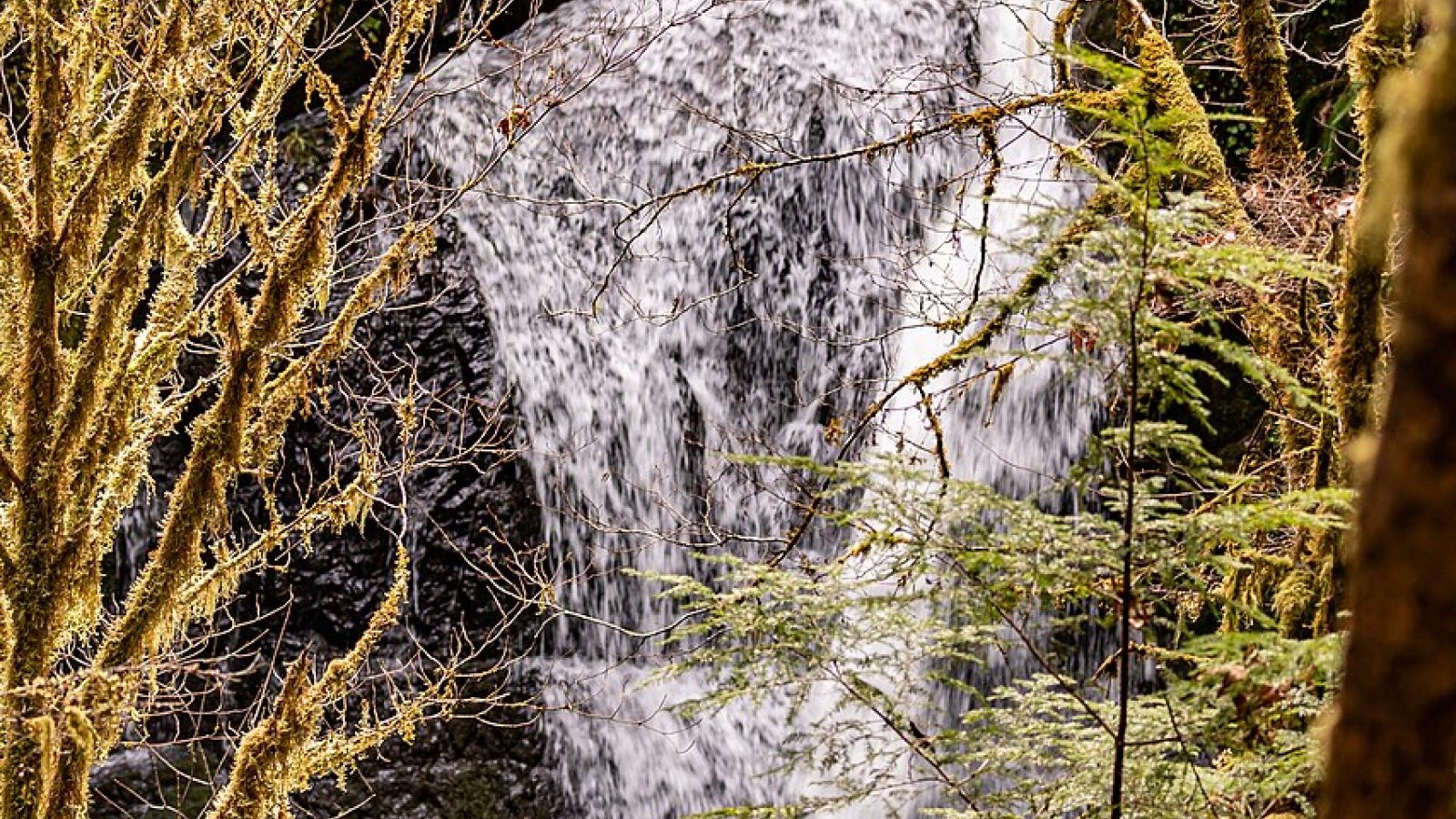 This Spring's Stream Restoration, By the Numbers