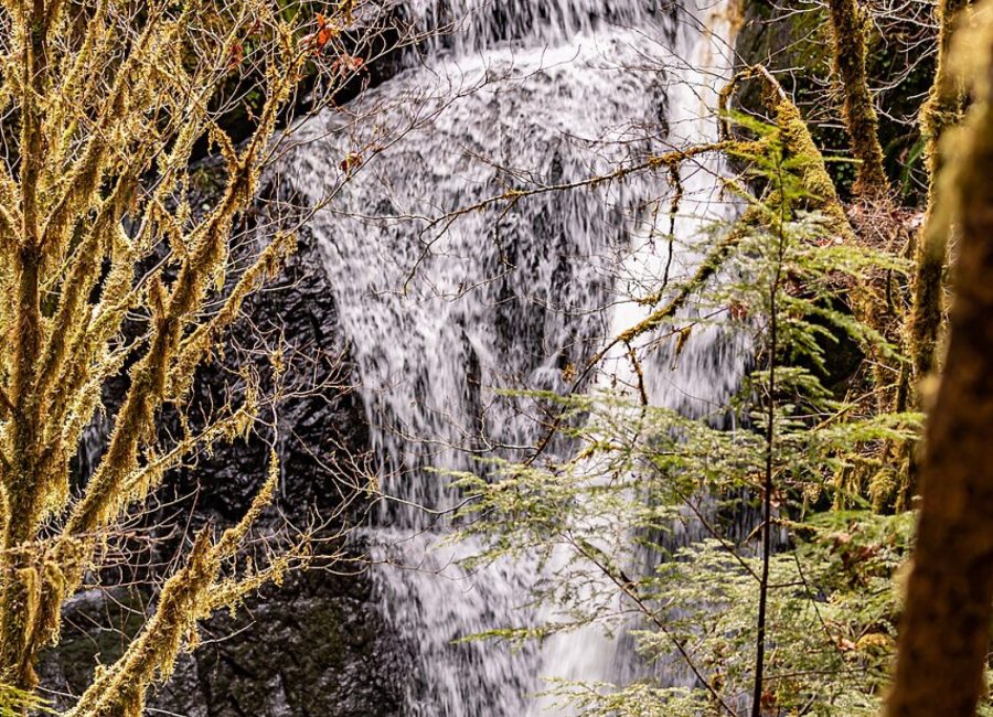 This Spring's Stream Restoration, By the Numbers