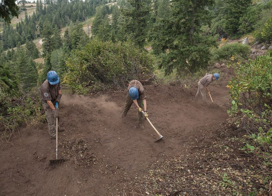 Volunteer trail crew working at dawn