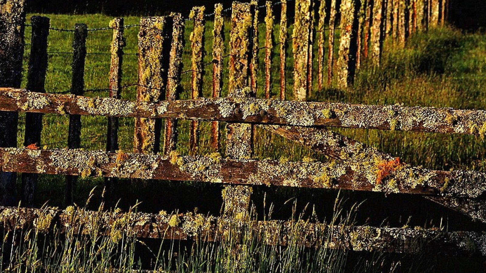 What a Conservation Easement Actually Restricts (and Doesn't)
