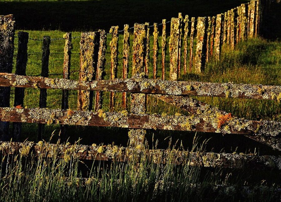 What a Conservation Easement Actually Restricts (and Doesn't)
